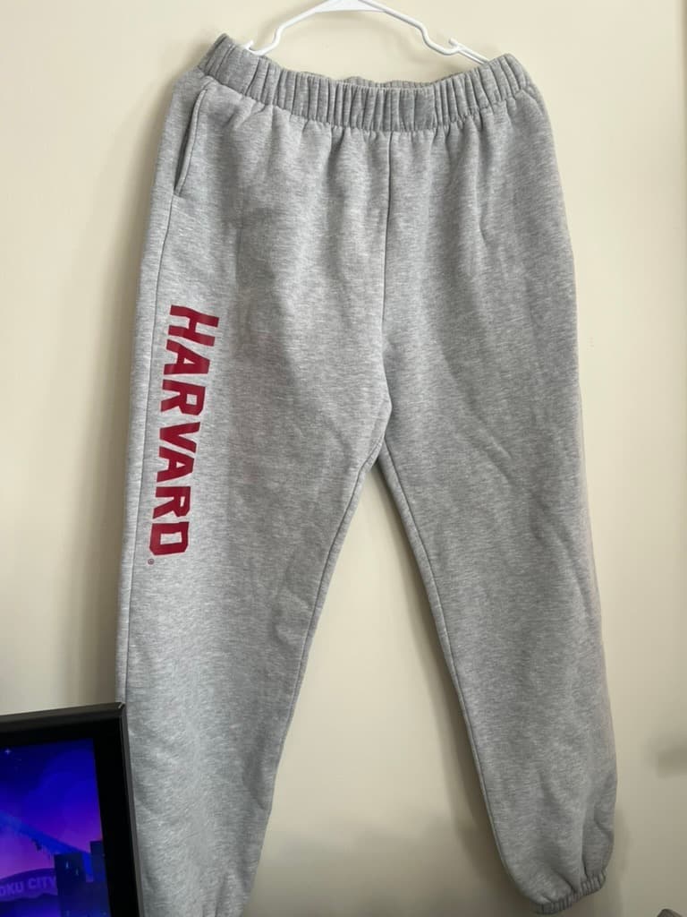 Harvard Gray Sweatpants photo 1